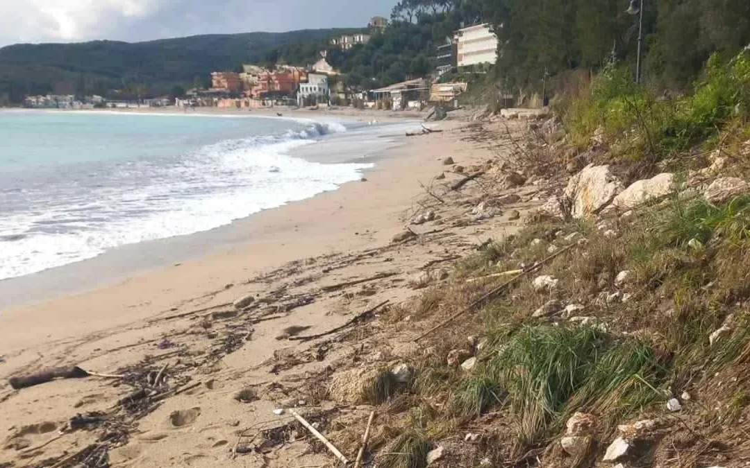 Παρέμβαση καθαρισμού στην παραλία του Βάλτου – Σημαντική ποσότητα απορριμμάτων συγκεντρώθηκε από κολυμβητές