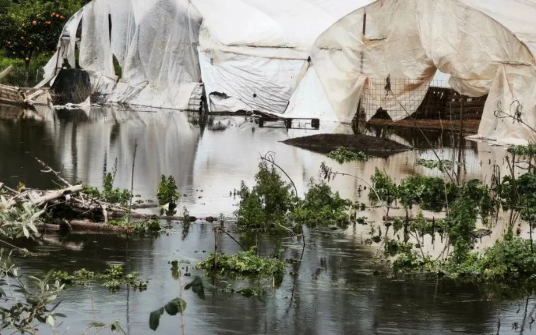 Mε σφοδρότητα έπληξε τη Δυτική Ελλάδα το νέο κύμα κακοκαιρίας – Πού ισχύουν κυκλοφοριακές ρυθμίσεις λόγω κατολισθήσεων (βίντεο)