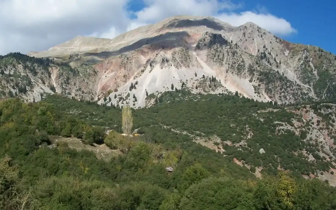 Εορτάζει σήμερα ο Όσιος Κασσιανός, προστάτης του Οικισμού Κασσιανού Πηγών Άρτας