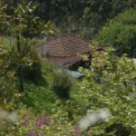 Δημογραφικό και ερήμωση των χωριών: Πρόταση 7 αξόνων για την Ήπειρο