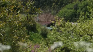 Δημογραφικό και ερήμωση των χωριών: Πρόταση 7 αξόνων για την Ήπειρο