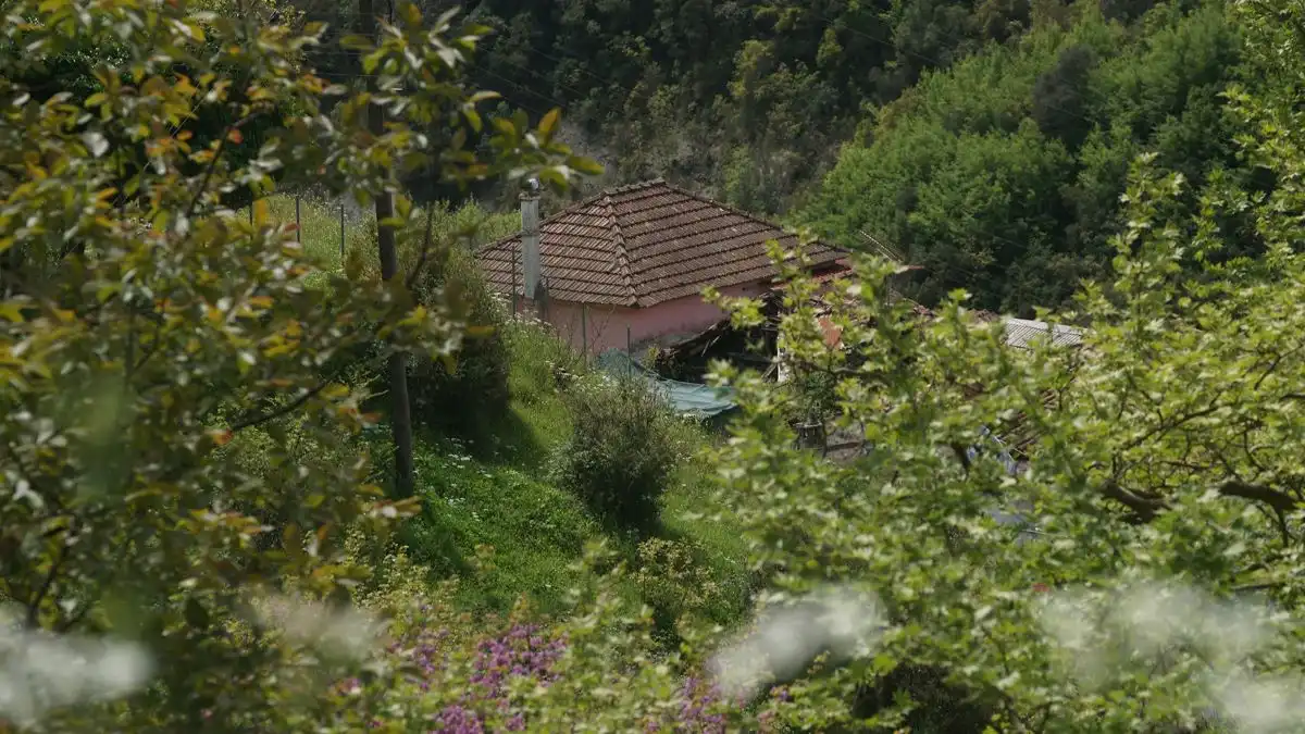 Δημογραφικό και ερήμωση των χωριών: Πρόταση 7 αξόνων για την Ήπειρο