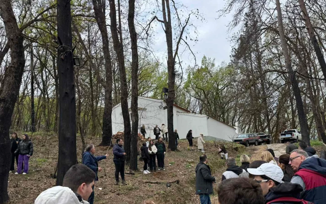 Δενδροφύτευση στη Λίμνη Ζηρού με τη συμμετοχή μαθητών και δομών ΑμεΑ