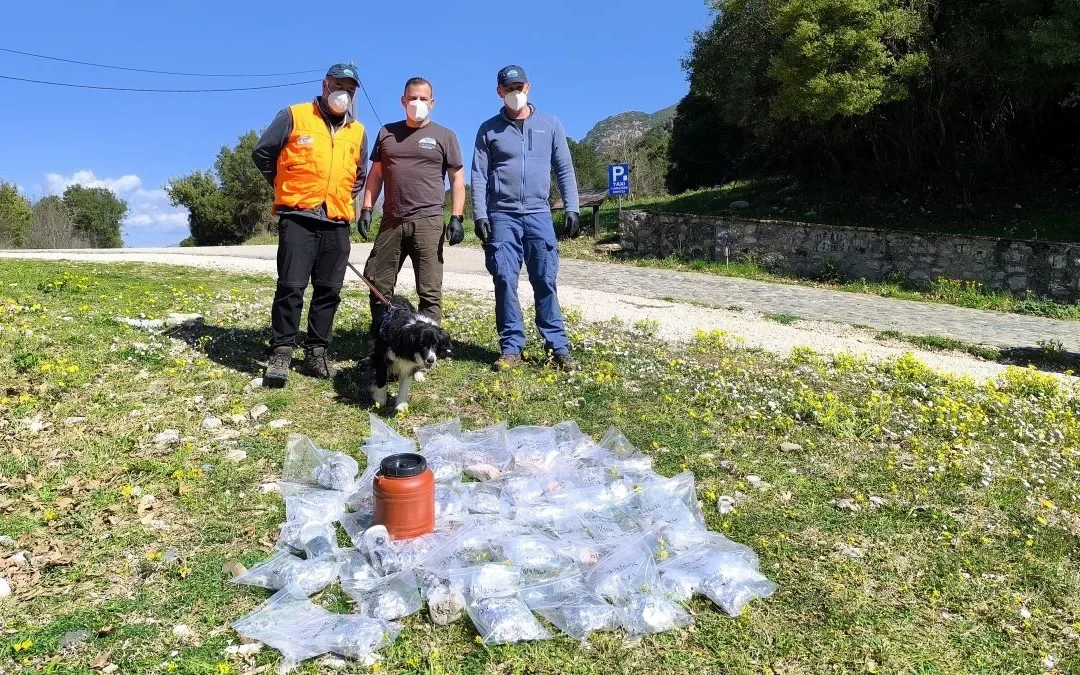 Νεκρά ζώα και 157 δηλητηριασμένα δολώματα στις πλαγιές του Γράμμου