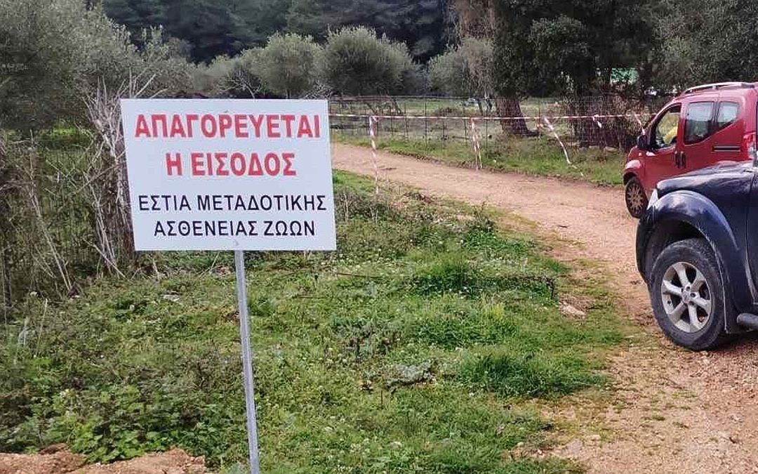Ολοκληρώθηκαν οι ενέργειες για τη διαχείριση του κρούσματος ευλογιάς στη Βαλανιδορράχη Πρέβεζας