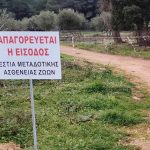 Ανησυχία για την κτηνοτροφία της Ηπείρου μετά τα επιβεβαιωμένα κρούσματα ευλογιάς στην Πρέβεζα