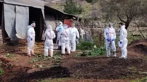 Ευλογιά: Αρνητικά και τα 345 νέα δείγματα από κτηνοτροφικές μονάδες της ΠΕ Πρέβεζας