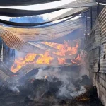 Ταχύτερες αποζημιώσεις για πυρόπληκτους – Πληρωμή μέσα σε πέντε ημέρες με ηλεκτρονική αίτηση (βίντεο)