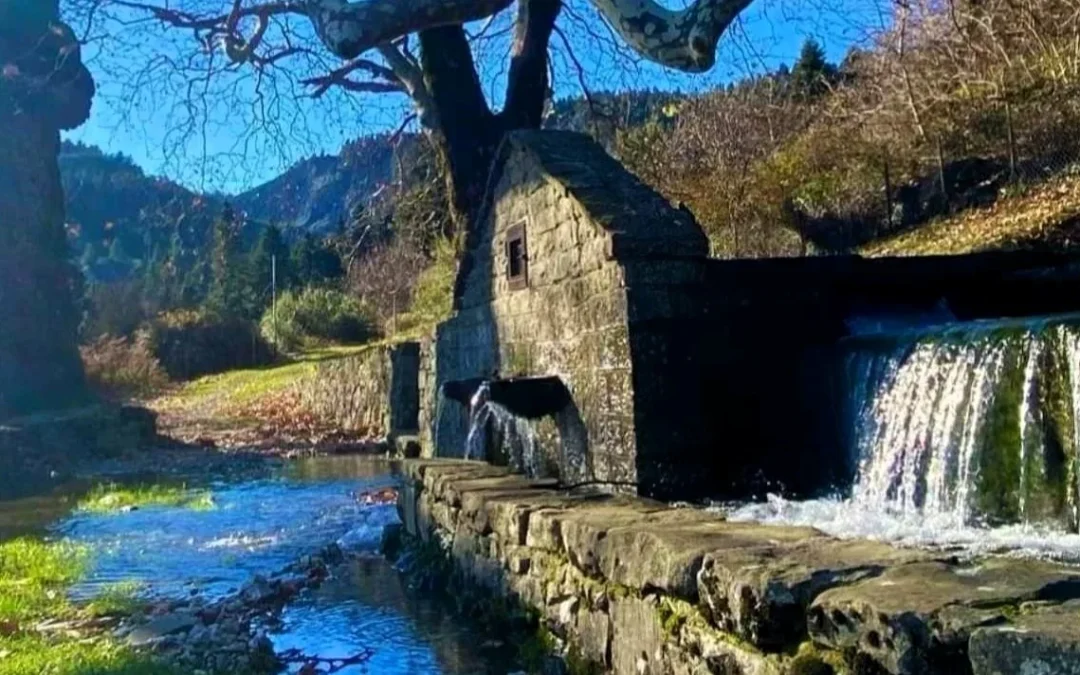 Φεβρουάριος 2026: Θερμότερος από τα κανονικά επίπεδα σε όλη την Ελλάδα