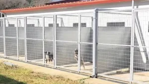 Πρέβεζα: Ένα καταφύγιο αδέσποτων ζώων με όλες τις προδιαγραφές