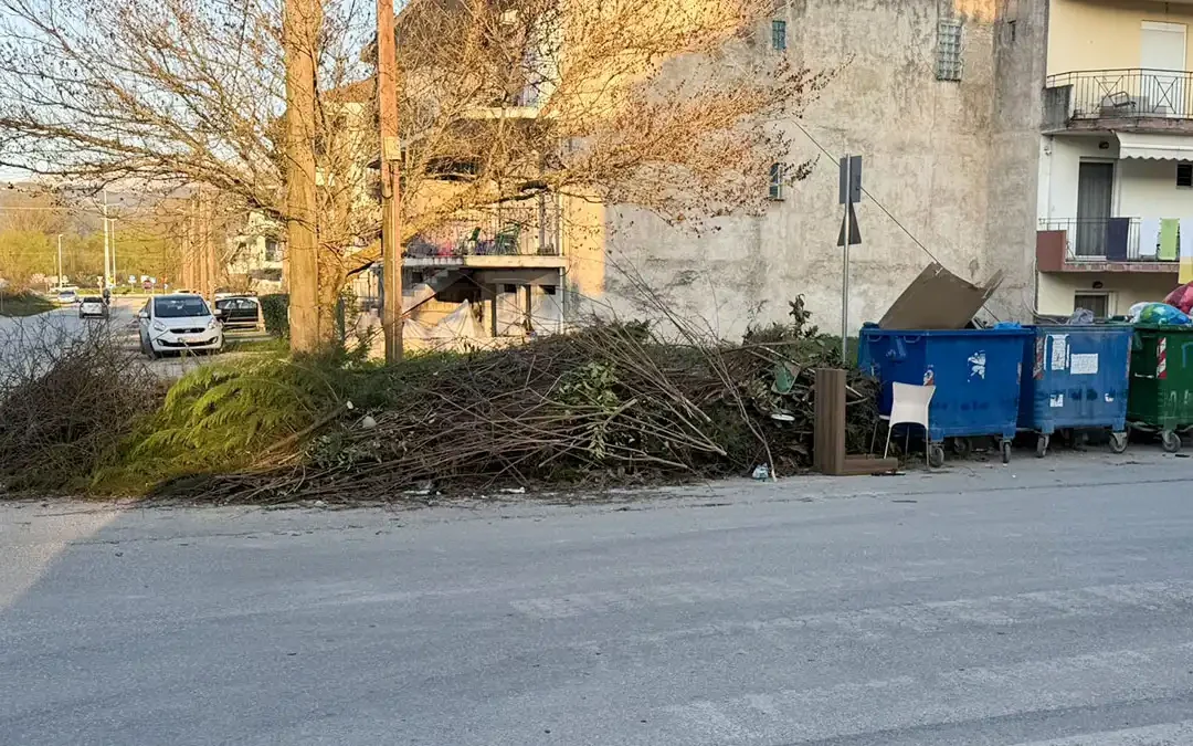 Ιωάννινα: Κλαδιά σε διάβαση πεζών στην Ιπποκράτους και Παλάσχα – Αντιδράσεις κατοίκων