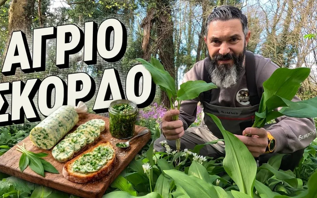 Ανακάλυψε την Άνοιξη το άγριο σκόρδο (Allium ursinum), ένα από τα πιο πολύτιμα άγρια βρώσιμα φυτά της φύσης!