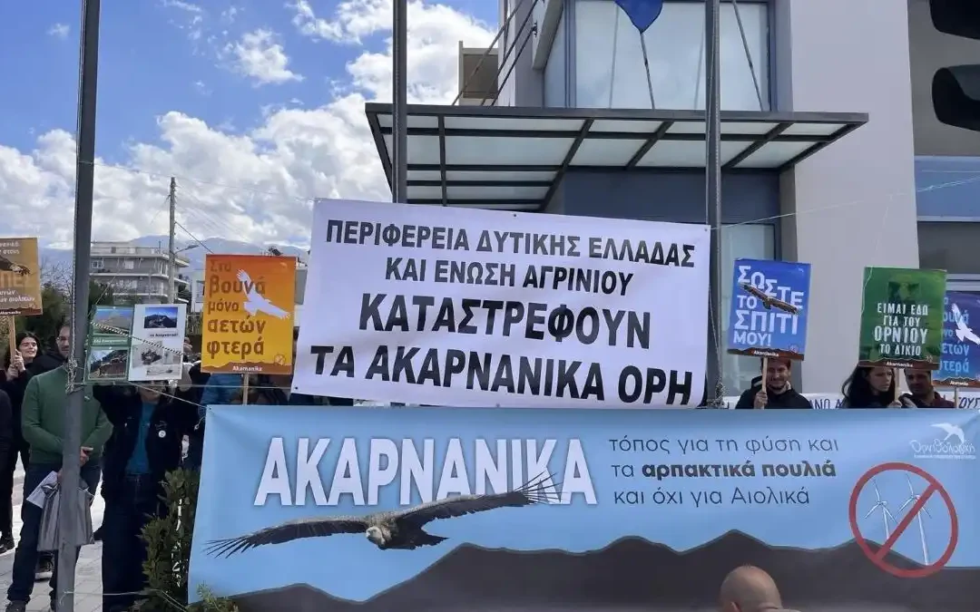 Ακαρνανικά Όρη: Παρέμβαση για τις ανεμογεννήτριες και τον βιότοπο του όρνιου