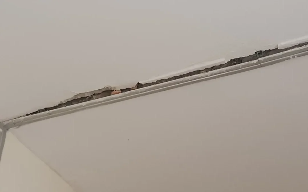 Ιωάννινα: Φοιτητές καταγγέλλουν ελλείψεις στην αντισεισμική προστασία – Κινητοποιήσεις στο Πανεπιστήμιο