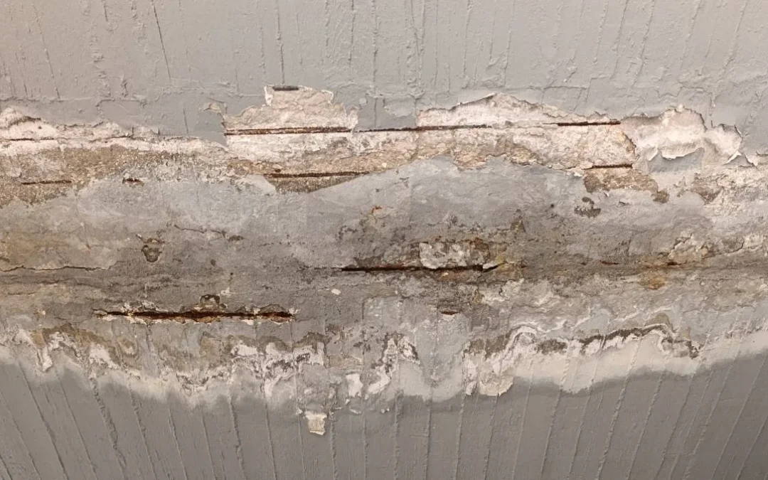 Σεισμός 8ης Μαρτίου: Φθορές σε κτίρια του Πανεπιστημίου καταγγέλλουν οι φοιτητές της ΠΚΣ