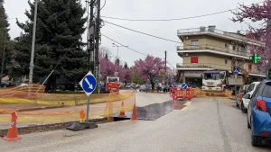 Μπέγκας: Δωρεάν τα τέλη σύνδεσης φυσικού αερίου – Ποιες περιοχές θα συνδεθούν πρώτες