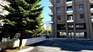 Ξεκίνησε η λειτουργία του Κέντρου Ημέρας Ολικής Φροντίδας για Άνοια/Alzheimer στα Ιωάννινα