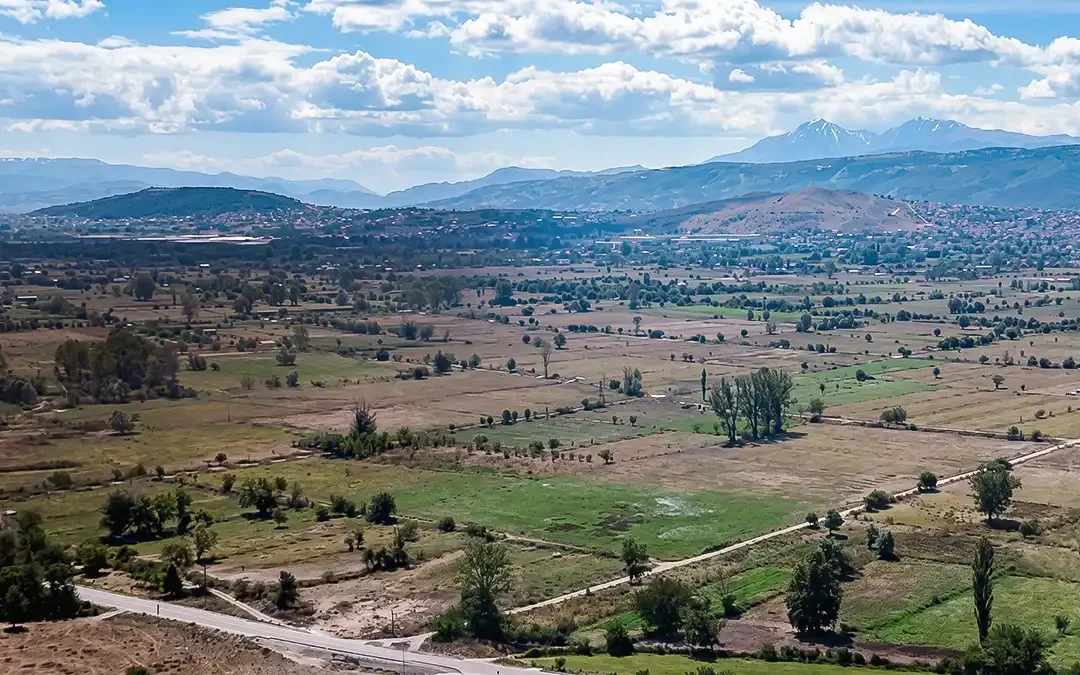 Τσίμαρης-Τζούφη προς Υπ. Αγρ. Ανάπτυξης: Γιατί παραμένουν απλήρωτοι οι παραγωγοί του κάμπου Λαψίστας;