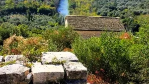14 ναοί και 17 προσκυνητάρια σε μικρό χωριό της Θεσπρωτίας