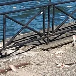Ιωάννινα: «Λαϊκή Συσπείρωση» για ψόφια ψάρια στο Παραλίμνιο – Ερωτήματα για καθυστερήσεις