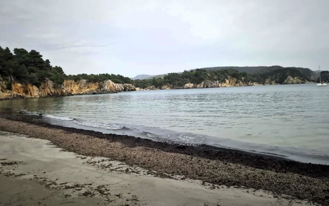 Σκάλα Φαναρίου: Οικογένεια εντόπισε νεκρή χελώνα στην ακτή