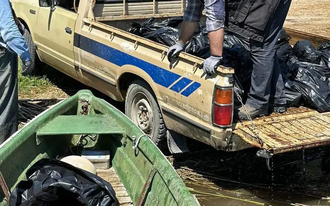 Νεκρά ψάρια στην Παμβώτιδα: Νέα επιχείρηση καθαρισμού από τους αλιείς τη Δευτέρα