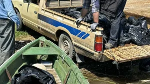 Νεκρά ψάρια στην Παμβώτιδα: Νέα επιχείρηση καθαρισμού από τους αλιείς τη Δευτέρα
