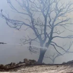 Πυροσβεστική: Οι οδηγίες για την αντιπυρική περίοδο και την πρόληψη πυρκαγιών