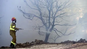 Πυροσβεστική: Οι οδηγίες για την αντιπυρική περίοδο και την πρόληψη πυρκαγιών