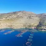 Νέα ώθηση στην υδατοκαλλιέργεια με 105 επενδυτικά σχέδια και δημόσια χρηματοδότηση 87 εκατ. ευρώ