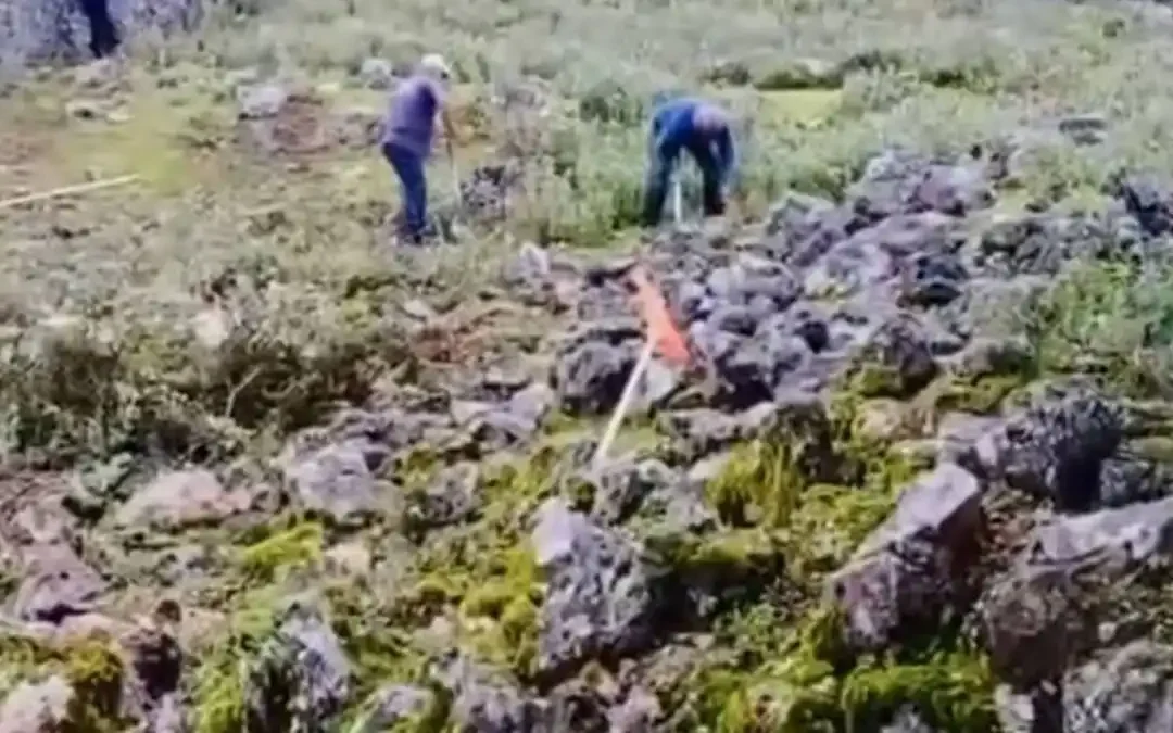 Καθαρισμός στην Παναγία και στο Νεκροταφείο του Σουλίου, στο πλαίσιο των έργων της ΟΧΕ