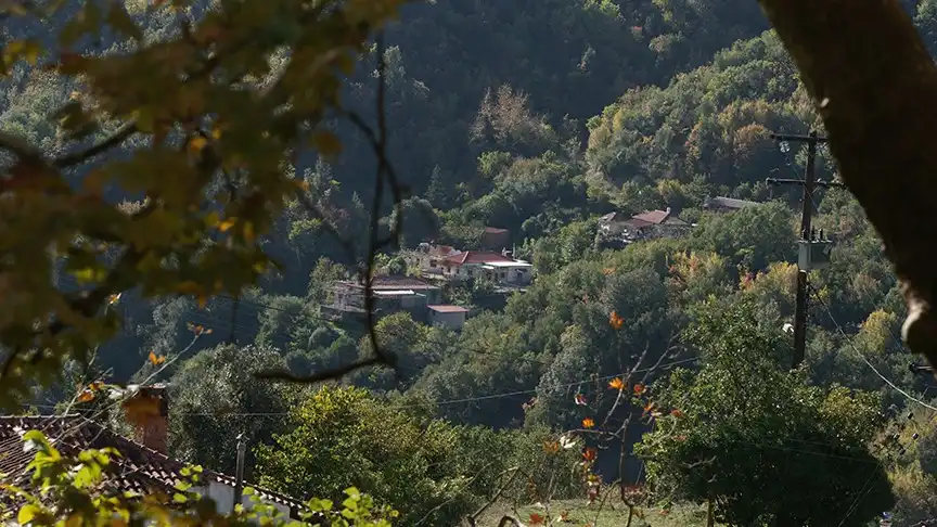 Θεσπρωτία και Ιωάννινα στο πρόγραμμα μετεγκατάστασης με επιδότηση έως 10.000 ευρώ