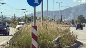 Κίνδυνος στην Εθνική Οδό Ιωαννίνων–Άρτας: Μηδενική ορατότητα από χόρτα