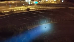Εγκλωβισμένη αρκούδα με τα μικρά της στον κόμβο της Εγνατίας κοντά στο Μέτσοβο (video)