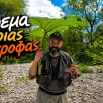 Ψάρεμα Άγριας Πέστροφας σε Φουσκωμένο Ποτάμι | Only Trout Fishing