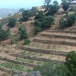 Η ΠΕΔ Ηπείρου συμμετείχε στο Ευρωπαϊκό Φόρουμ Ξηρής Δόμησης στην Κύπρο