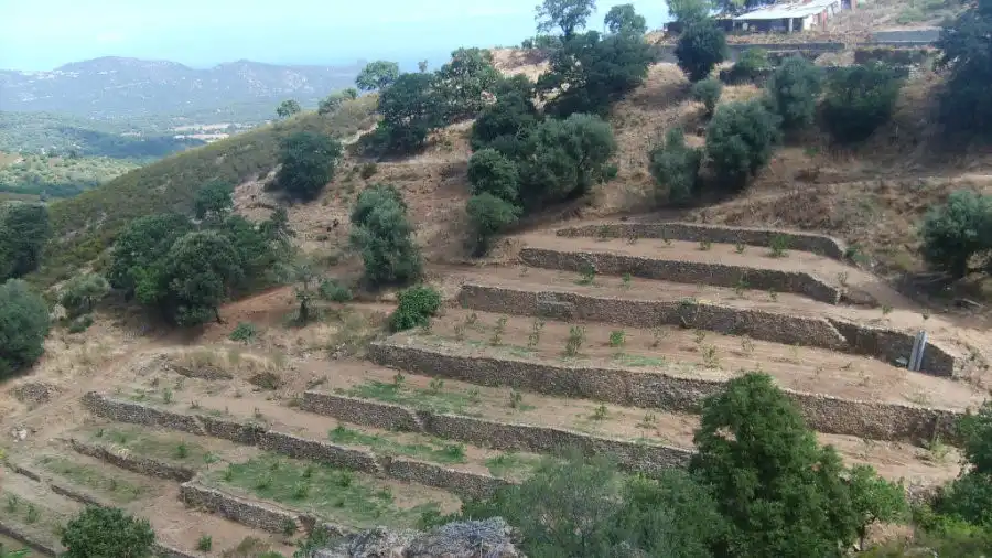 Η ΠΕΔ Ηπείρου συμμετείχε στο Ευρωπαϊκό Φόρουμ Ξηρής Δόμησης στην Κύπρο