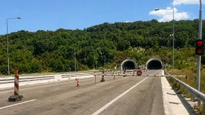 Εγνατία Οδός: Πρόβατα έκαναν την εμφάνισή τους στη σήραγγα Ανηλίου