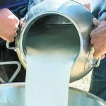 Ψηφιακό σύστημα ιχνηλασιμότητας για να μπει φρένο στις παράνομες ελληνοποιήσεις