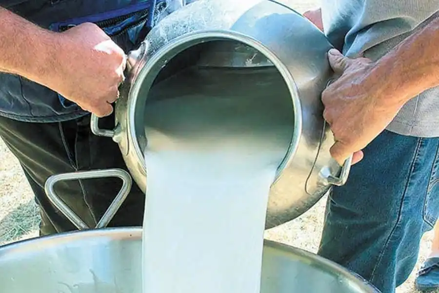 Ψηφιακό σύστημα ιχνηλασιμότητας για να μπει φρένο στις παράνομες ελληνοποιήσεις