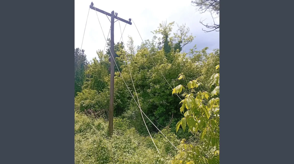 Ιωάννινα: Καταγγελία για εγκαταλελειμμένα καλώδια στη λεωφόρο Δωδώνης