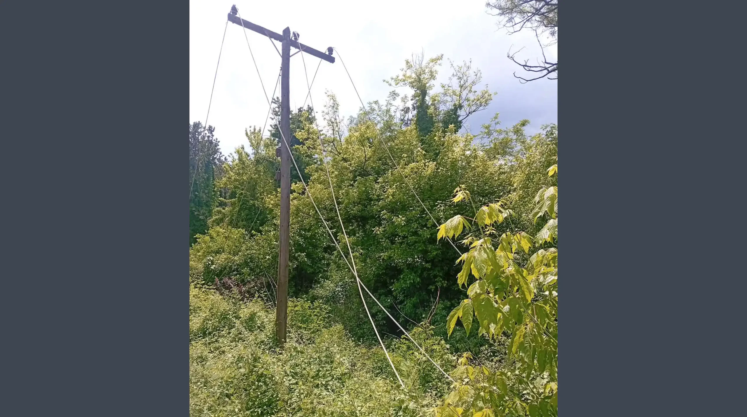 Ιωάννινα: Καταγγελία για εγκαταλελειμμένα καλώδια στη λεωφόρο Δωδώνης