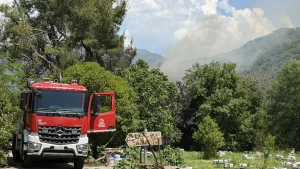 Συναγερμός στην Πυροσβεστική για φωτιά σε αποθήκη στον Κατσικά Ιωαννίνων (βίντεο)