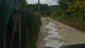 Δρόμος-ντροπή στον Παλαιόμυλο Κατσικά: Οι λακκούβες έγιναν… πισίνες και οι κάτοικοι μετρούν μόνο υποσχέσεις
