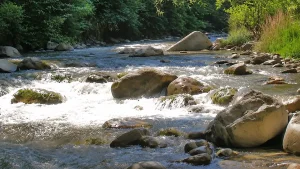 Δυναμική αντίδραση απέναντι στην αδειοδότηση υδροηλεκτρικού έργου στον Μετσοβίτικο