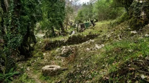 Οι παλαιοί νερόμυλοι στη Θεσπρωτία μνημεία πολιτισμού…
