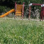 Ιωάννινα: Καταγγελίες για εγκατάλειψη σε παιδική χαρά στον Πλάτανο Χαροκοπίου
