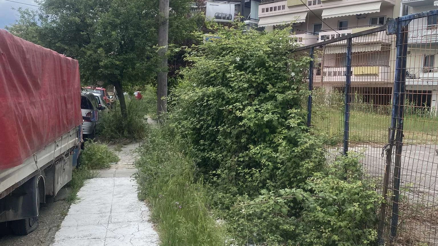 Ιωάννινα: Πεζοδρόμιο «χαμένο» στα χόρτα στην οδό Κυργίου!