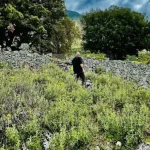 Το νεκροταφείο στο ιστορικό Σούλι ανακηρύχθηκε ευρωπαϊκό πολιτιστικό μνημείο