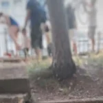 Ιωάννινα: Ανοιχτές σχολικές αυλές ζητά ξανά η Πρωτοβουλία Πολιτών και συγκεντρώνει υπογραφές